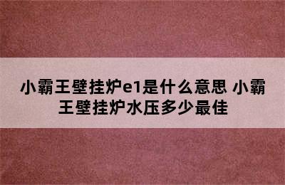 小霸王壁挂炉e1是什么意思 小霸王壁挂炉水压多少最佳